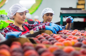 LAVORA CON NOI NEL SETTORE AGROALIMENTARE: NUMEROSE POSIZIONI APERTE!